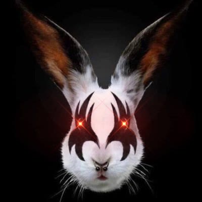 Bild von Orangedmind